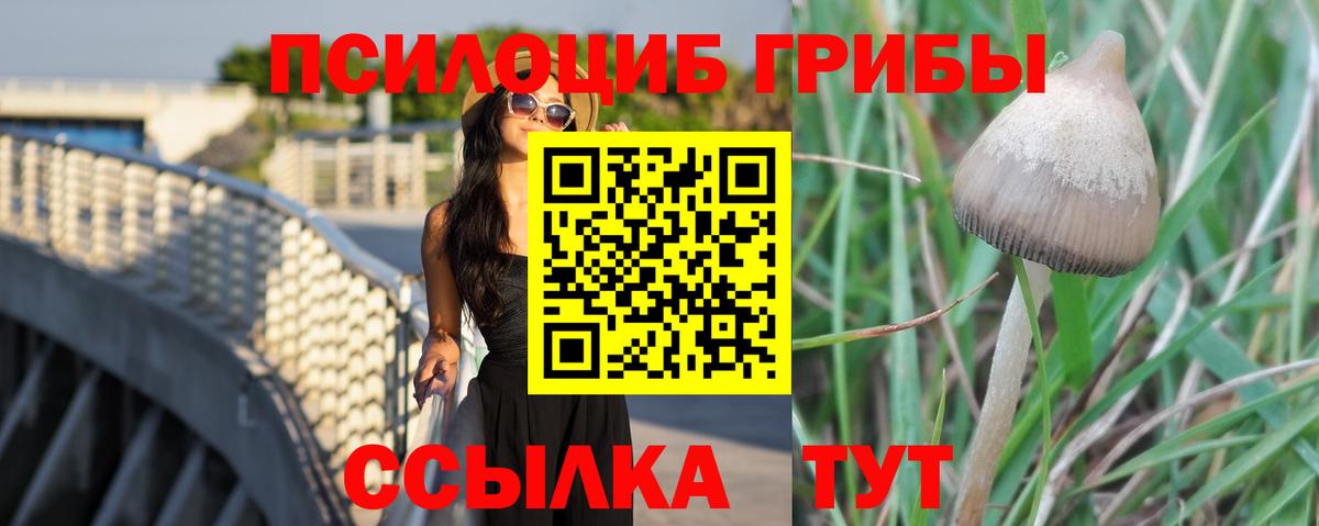 Псилоцибиновые грибы прущие грибы  Галлюциногенные грибы Cubensis  Вход с VPN  Кумертау 